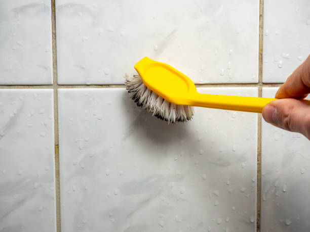 Best Commercial Mold Removal  in Chesapeake Ranch Estates, MD