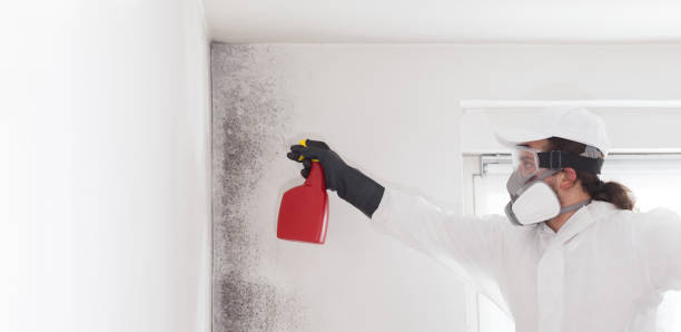 Crawl Space Mold Removal in Chesapeake Ranch Estates, MD